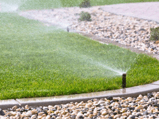 Garden Sprinkler Buyers Guide