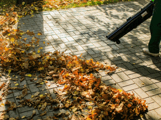 Leaf Vacuum Buyers Guide