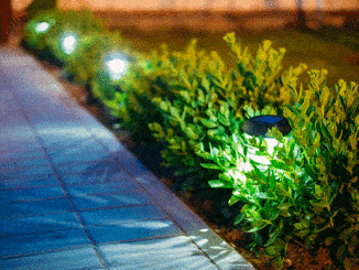 Decking Lights Buyers Guide