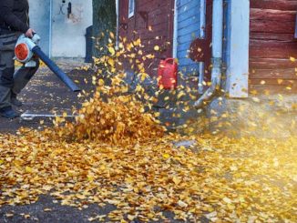 Leaf Blower Buyers Guide