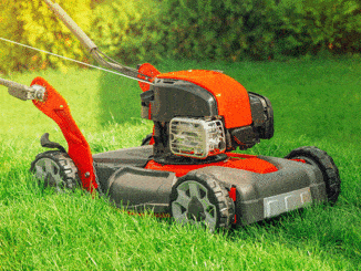 Petrol Lawnmower Buyers Guide
