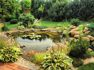 Pond Liners Buyers Guide