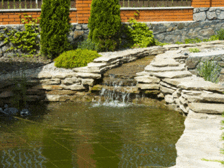 Solar Powered Water Feature