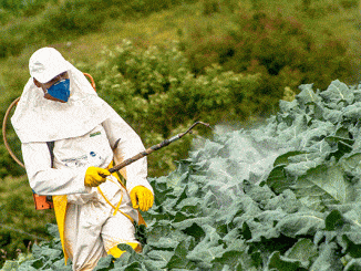 Weed Killer Buyers Guide