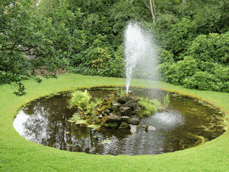 Pond Pumps Buyers Guide