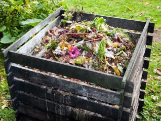 Best Compost Bin