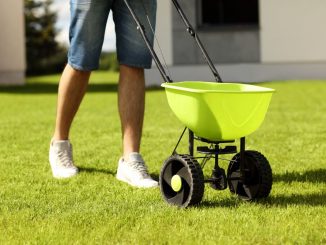 Best Lawn Spreader